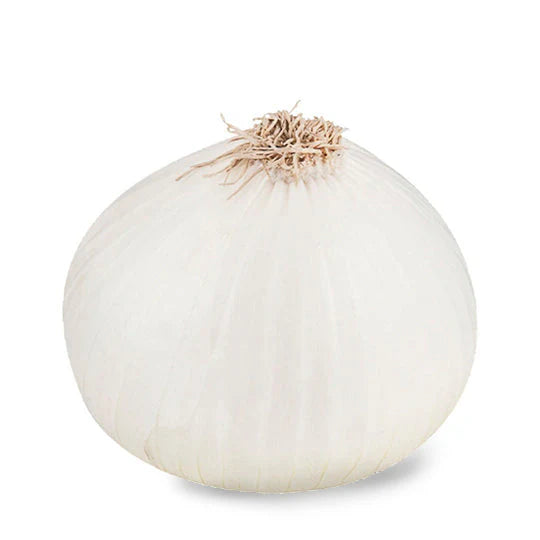 Cebolla Blanca 1 Pieza