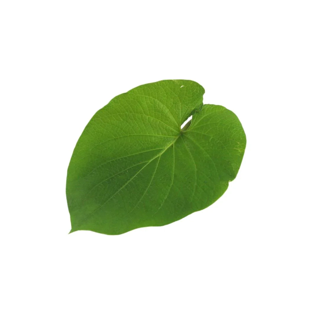 Hoja Santa 50 g (Son aprox. 7 piezas)