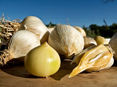Ajo macho 100 g