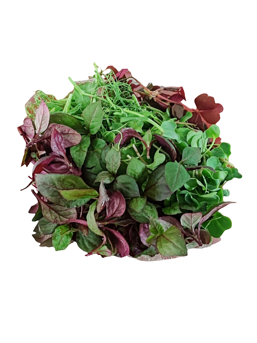 Brotes Mix 50 g