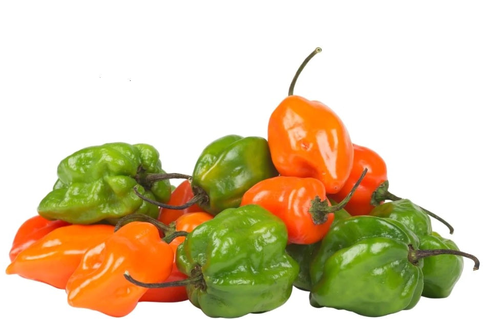 Chile habanero kg