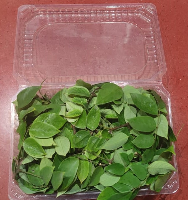 Domo 100g Hoja de Carambola
