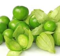 Tomatillo Milpero verde Kg