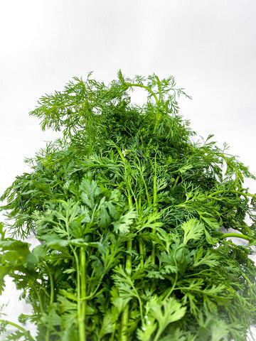 Cilantro Recio Limpio 200g