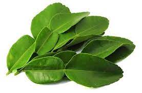 Hoja de lima kaffir bergamota 10 pzas