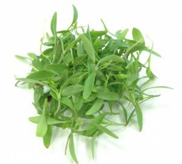 Brote de Cilantro Domo 35g