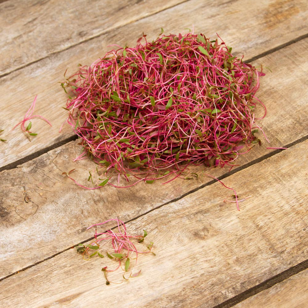 Brote de Amaranto domo 35g