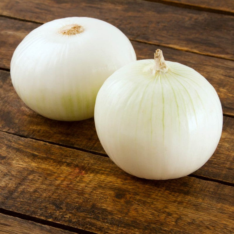 Cebolla Blanca x Kg