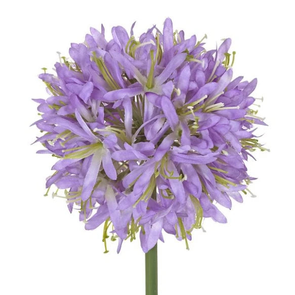 Flor de ajo pza