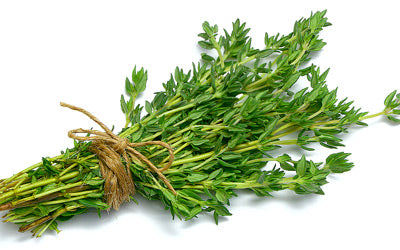 Tomillo de verano fresco atado 20 g