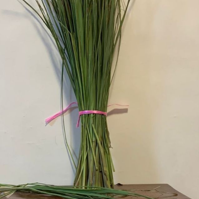 Zacate Limón fresco 100g