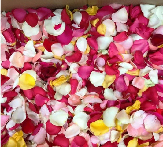 Domo de pétalos frescos flores variadas 10g