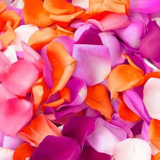 Domo de pétalos de rosas frescos comestibles variados 50g