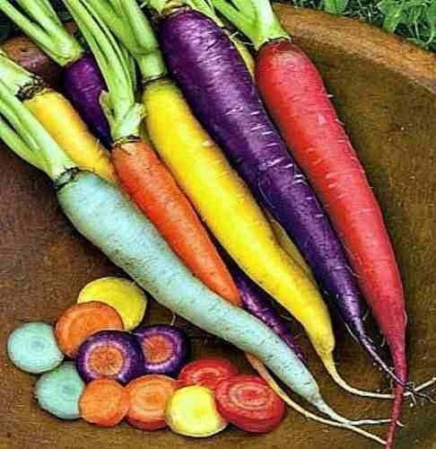Zanahoria Baby Colores sin Hojas 500g