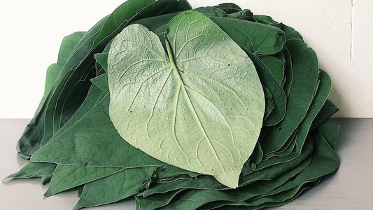 Hoja Santa 350g Rollo