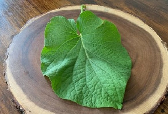 Hoja Santa 100g (Son aprox. 15 piezas)