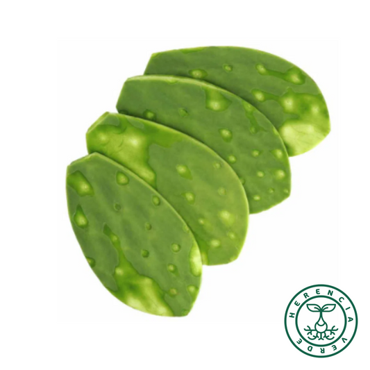 Nopal limpio x Kg