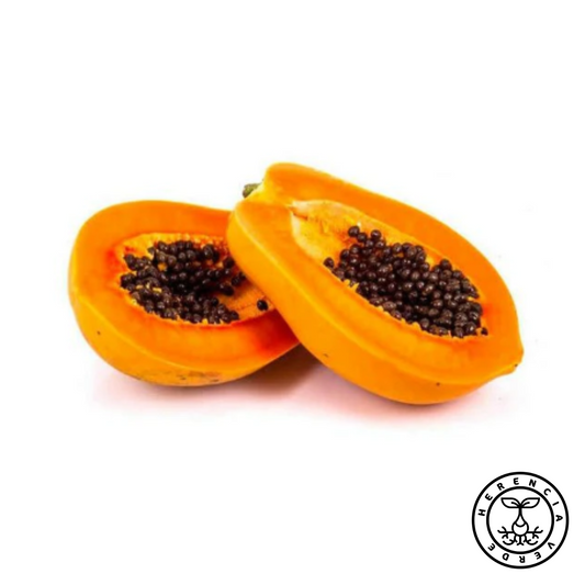 Papaya Maradol mediana x Pza