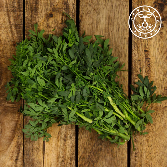 Ruda fresca manojo 20g