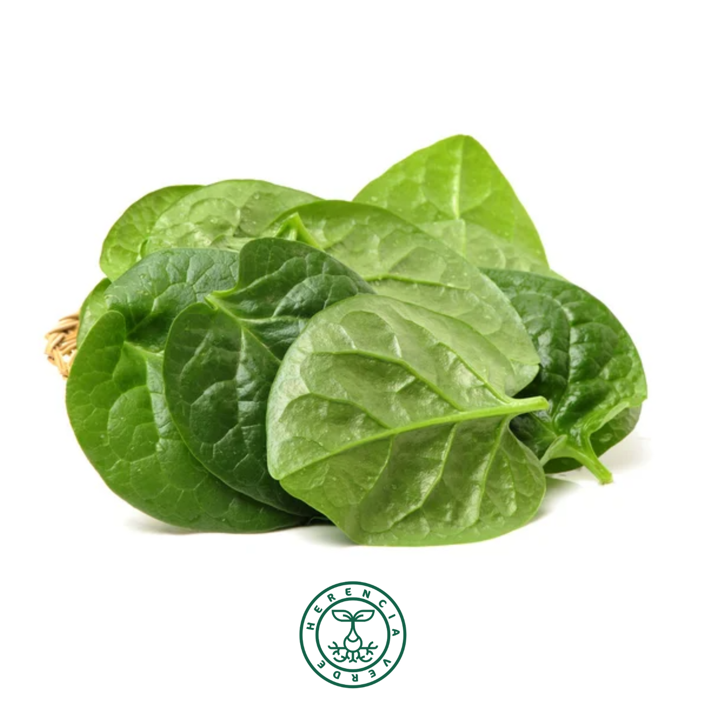 Espinaca malabar atado 100gr