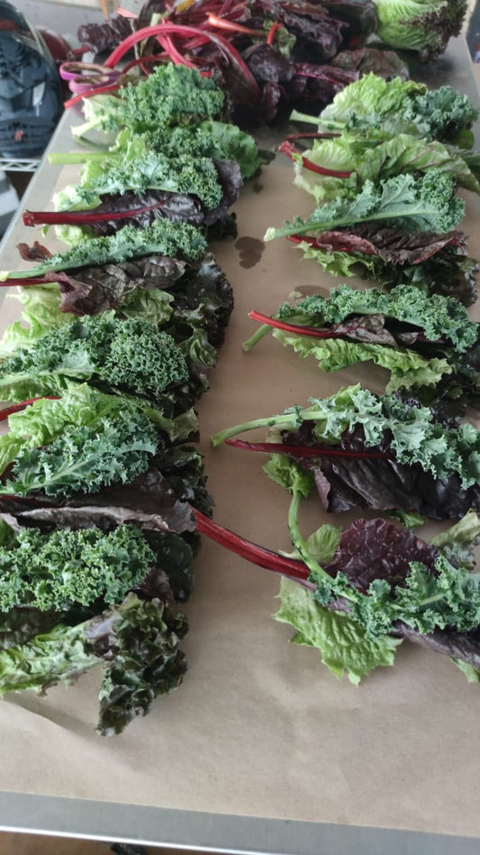 Mix de Hojas frescas Herencia 500 g