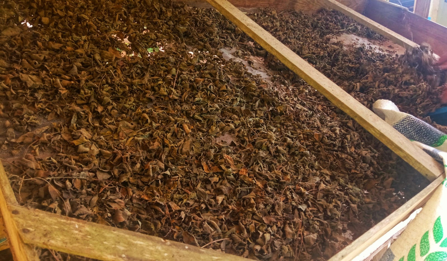 Orégano de Monte seco 500g