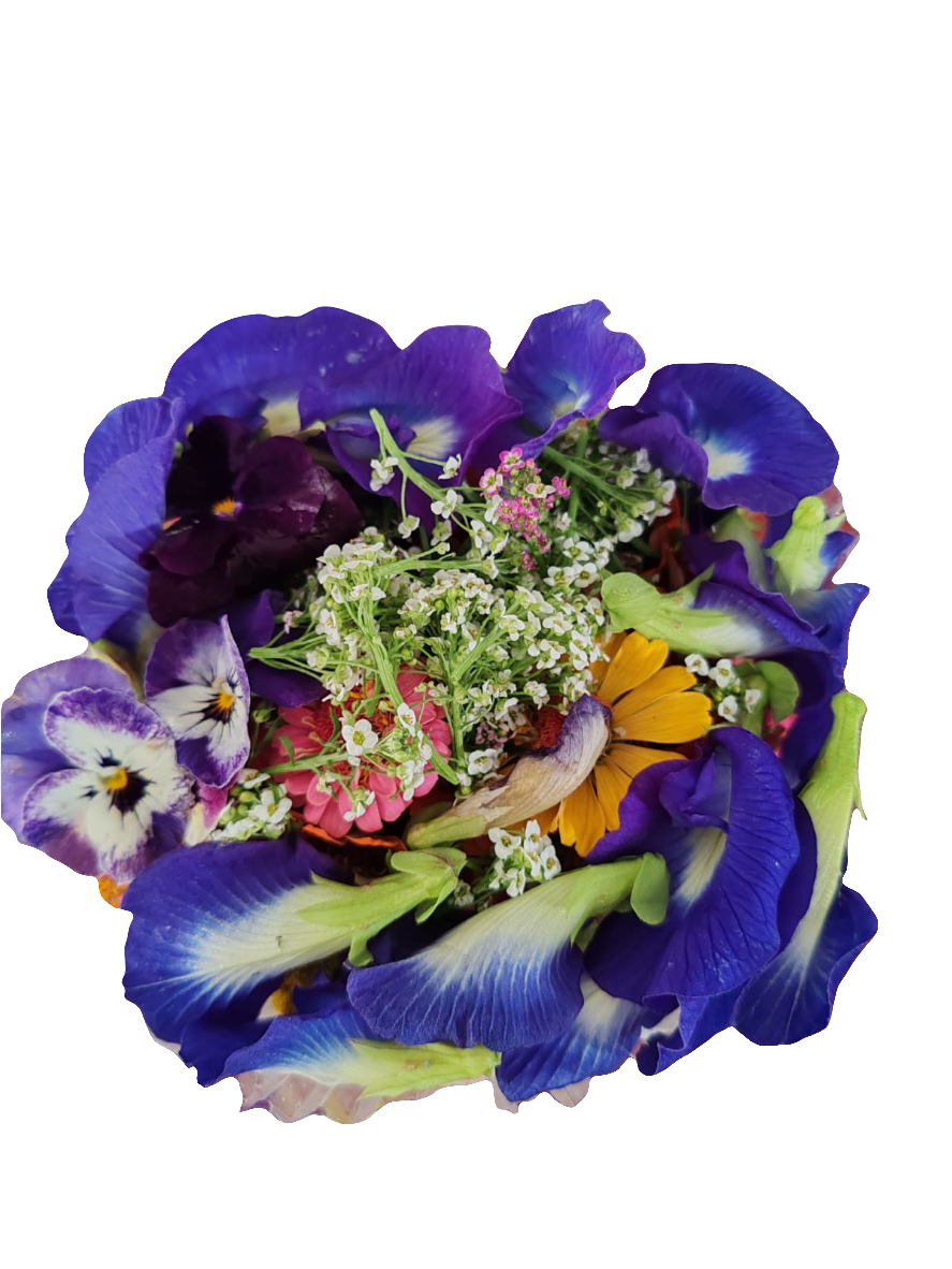 Mix de Flores pequeñas 1 domo (Pesa Aprox. 50 g) Incluye flores pensamiento, chac sin kin, flor de amaranto, flor de salvia y clitoria