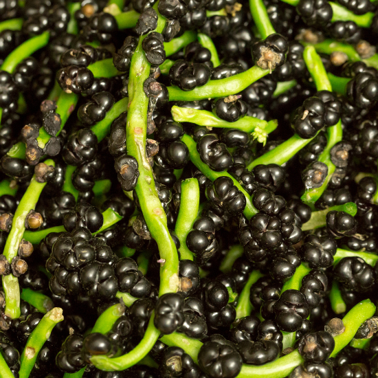Baya de espinaca malabar domo 500 g