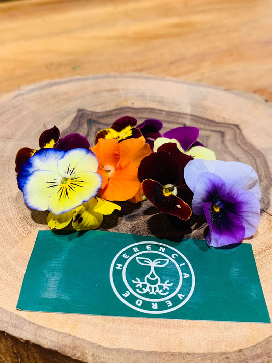 Flor de pensamiento pequeño y/o viola frescas domo de 30 pza