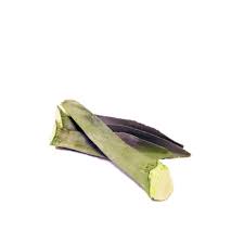 Penca de Maguey pieza