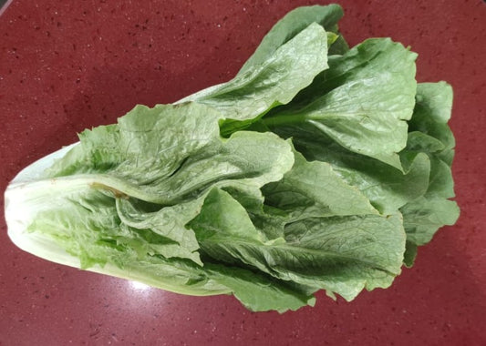 Lechuga Orejona local Pza