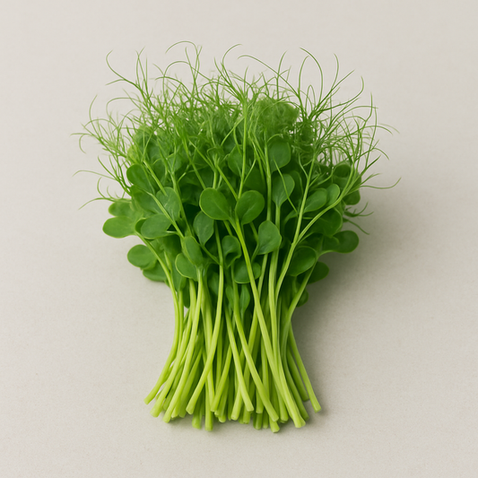 Brote de Chícharo Alverjón Domo 25 g