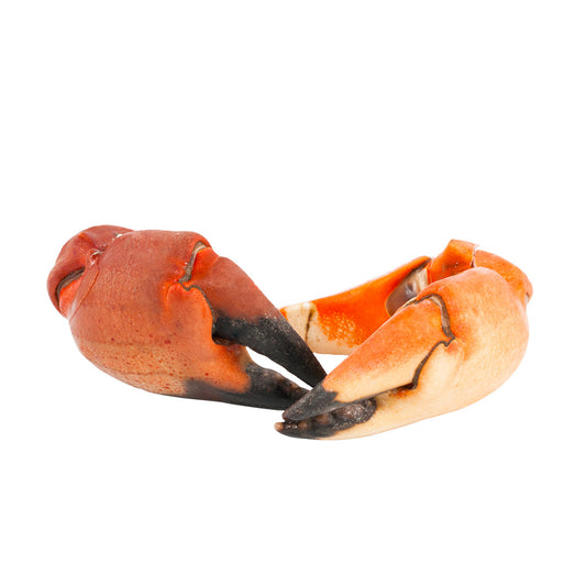 Tenaza de Cangrejo Moro 1 kg
