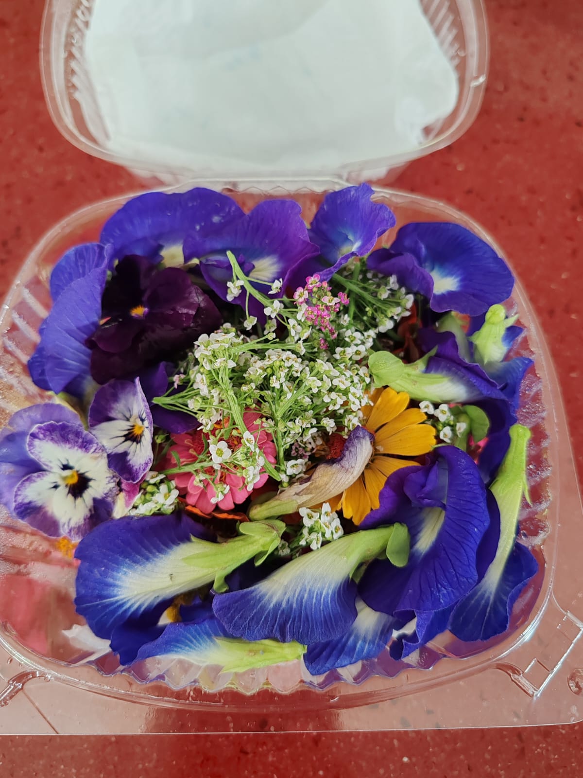 Mix de Flores pequeñas 1 domo (Pesa Aprox. 50 g) Incluye flores pensamiento, chac sin kin, flor de amaranto, flor de salvia y clitoria