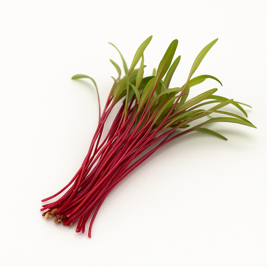 Brote de Betabel Domo 25 g