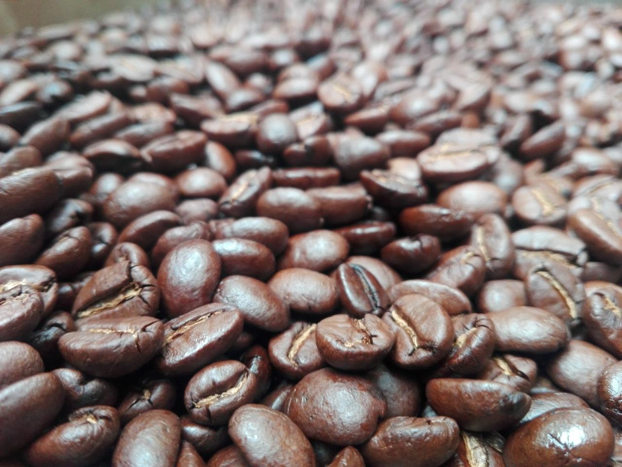 Café de Altura Chiapas en grano entero 250 g — Tueste Medio ☕