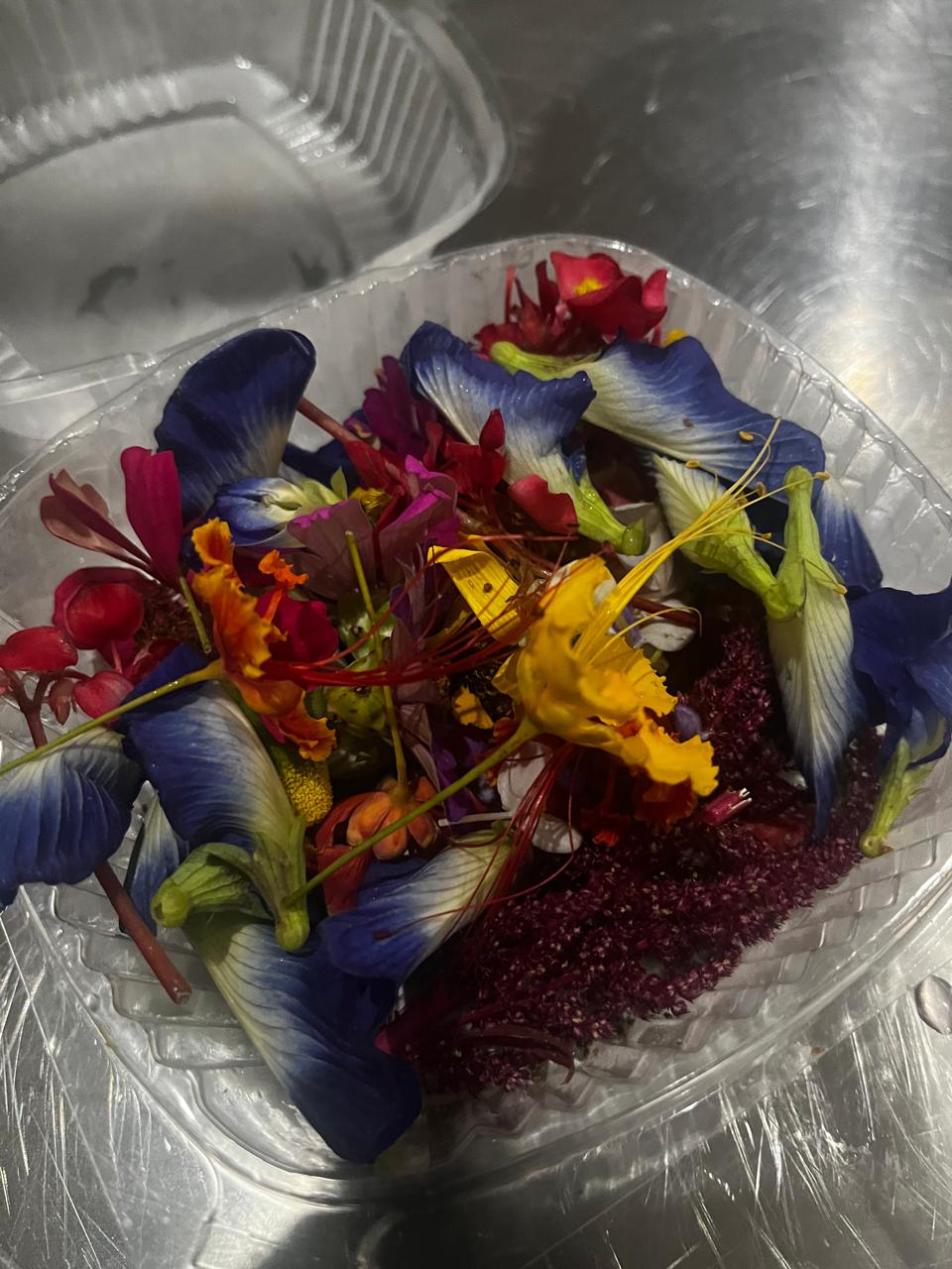 Mix de Flores pequeñas 1 domo (Pesa Aprox. 50 g) Incluye flores pensamiento, chac sin kin, flor de amaranto, flor de salvia y clitoria