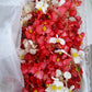 Flor de begonia domo 100 pzas