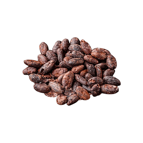 Semilla de Cacao 500 g