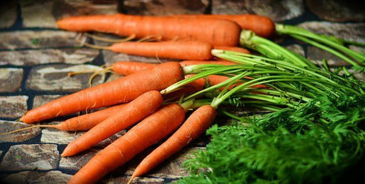 Zanahoria Baby Naranja  1 pieza  Larga mínimo 13 cm