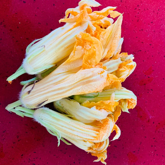 Flor de Calabaza Domo 100g