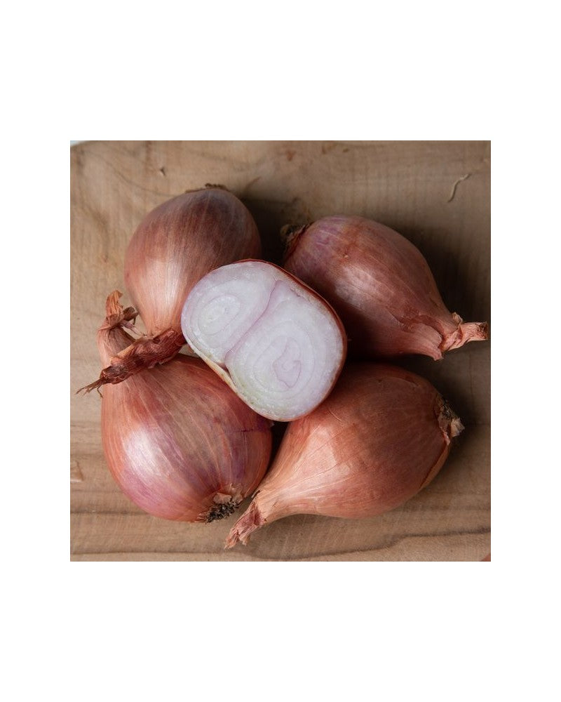 Echalote 500g