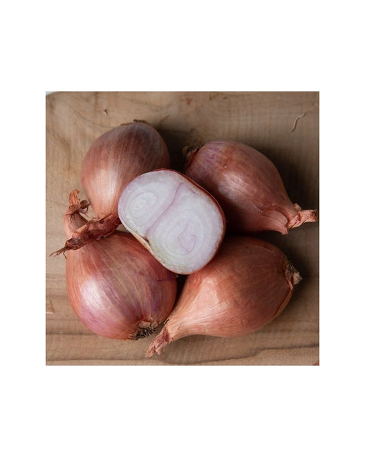 Echalote 500g