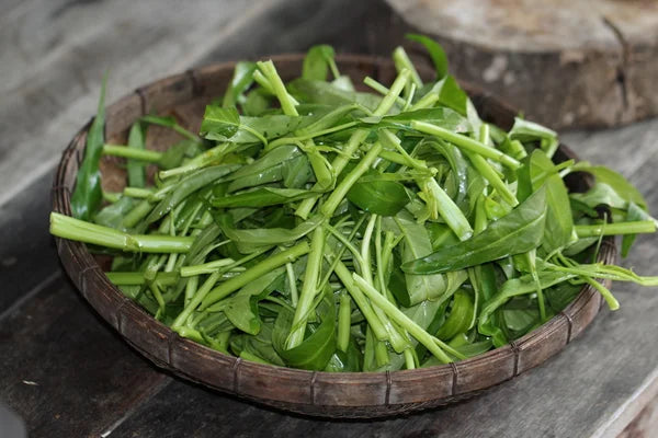 Espinaca de agua (Kang Kong) atado 100 g