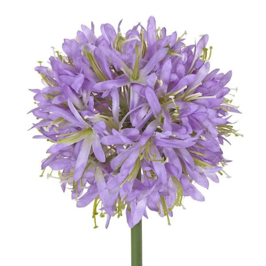 Flor de ajo pza