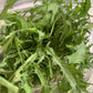 Mizuna  morada  hoja grande 100 g