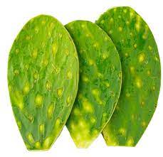 Nopal entero limpio 250 gr